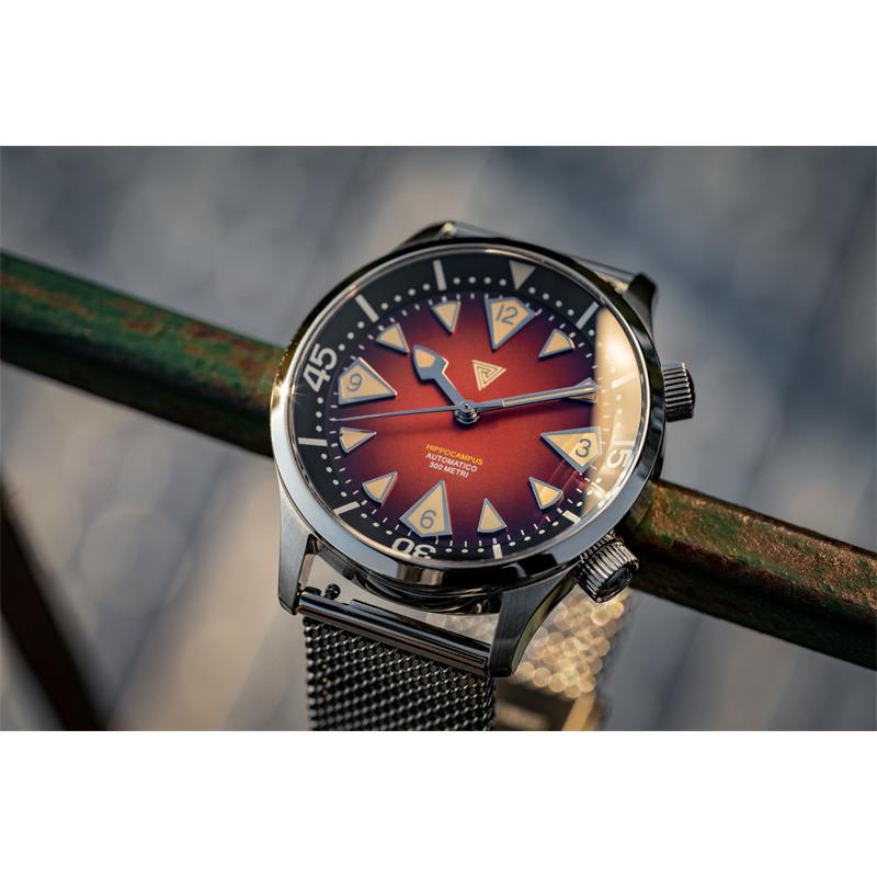 VERTIGO HIPPOCAMPUS BROWN